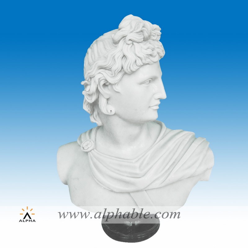 Apollo Belvedere Bust